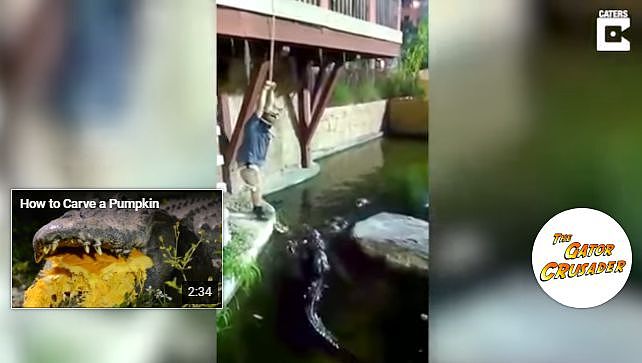 表演意外失手，美国男子掉进鳄鱼池（视频/组图） - 2