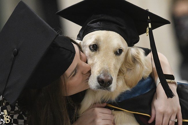 跟主人一起毕业！忠犬获美国大学荣誉学位（组图） - 2