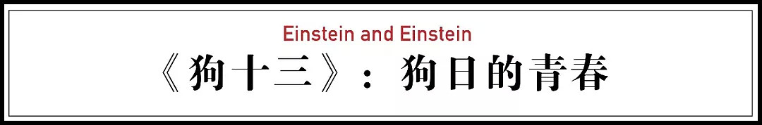 10年来最刺痛的青春片：我们终于活成了听话的狗（视频/组图） - 3