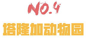 2019悉尼跨年烟火攻略！8.5吨烟花震惊世界！含最佳观赏位置、交通信息！（图） - 47