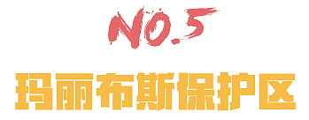 2019悉尼跨年烟火攻略！8.5吨烟花震惊世界！含最佳观赏位置、交通信息！（图） - 52