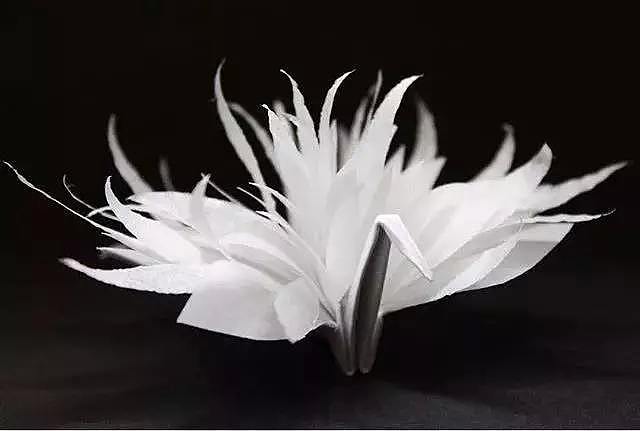 精致到“变态”！90后小哥用1cm的纸折了1000只千纸鹤，折服了万千少女心！（视频/组图） - 39