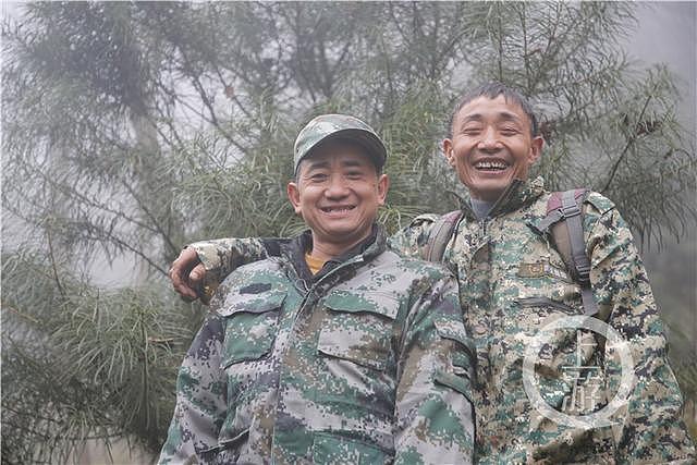 三兄弟接力守护“植物大熊猫”38年：一个月穿坏一双鞋、山林间与野猪打照面……