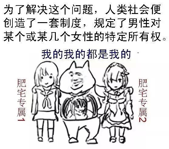 林青霞、张雨绮、杨幂离婚背后：正在消亡的现代婚姻！（组图） - 11