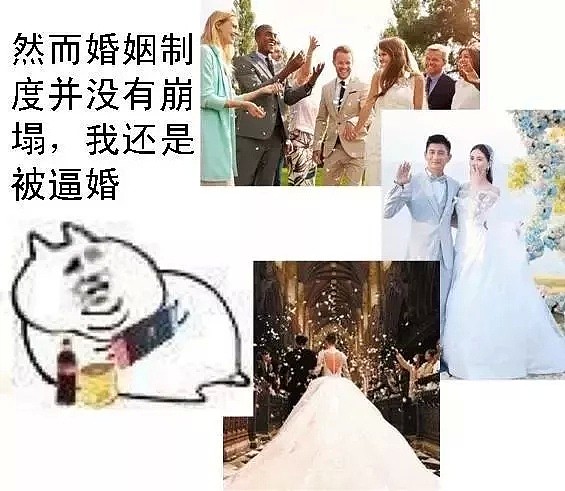 林青霞、张雨绮、杨幂离婚背后：正在消亡的现代婚姻！（组图） - 31