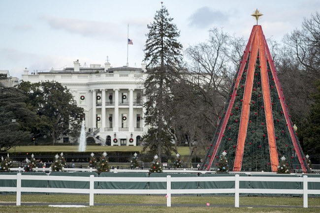 美国家圣诞树遭人破坏 成政府瘫痪标志（图） - 2