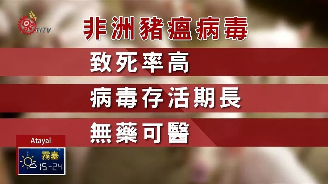 超强干货！澳洲海关全是坑，一不小心就罚钱？！总是想打擦边球？！史上最全的澳洲入关宝典都在这里！ - 3