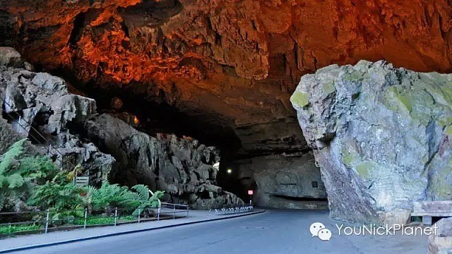 亿年洞穴群，蓝湖，心形天洞，横天穹窿，百年古镇||YNP二日游：神秘古老的Kanangra-Boyd国家公园 - 7