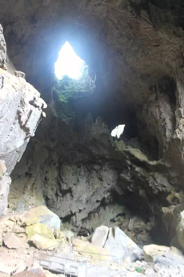 亿年洞穴群，蓝湖，心形天洞，横天穹窿，百年古镇||YNP二日游：神秘古老的Kanangra-Boyd国家公园 - 59