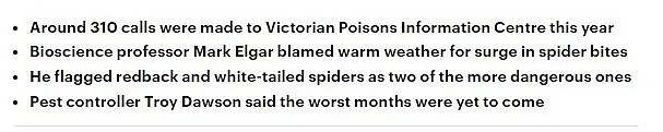 昨天澳洲一人家发现剧毒蜘蛛！维州已有310起蜘蛛报案！请小心！ - 9