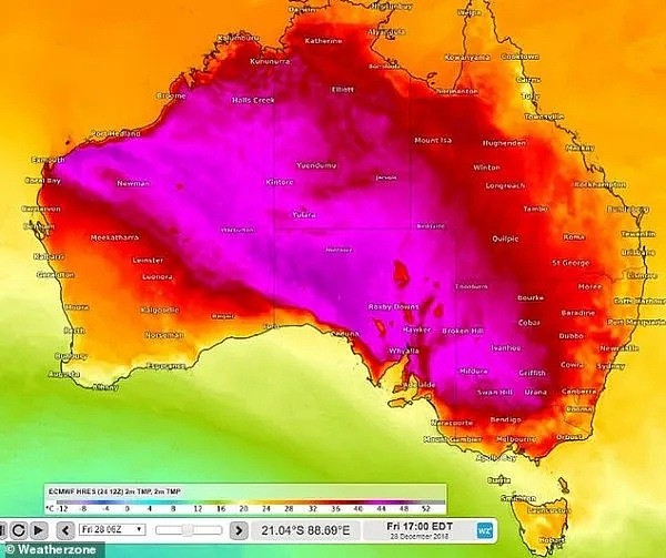 高温预警！热浪横扫澳洲，多地气温将逼近50度！100万人涌向海滩纳凉，连袋鼠都下水了... - 1