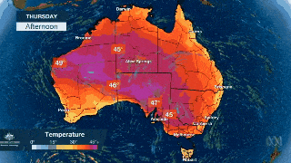 高温预警！热浪横扫澳洲，多地气温将逼近50度！100万人涌向海滩纳凉，连袋鼠都下水了... - 6