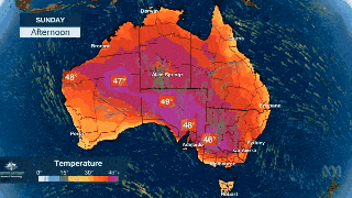 高温预警！热浪横扫澳洲，多地气温将逼近50度！100万人涌向海滩纳凉，连袋鼠都下水了... - 9