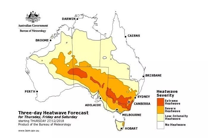 高温预警！热浪横扫澳洲，多地气温将逼近50度！100万人涌向海滩纳凉，连袋鼠都下水了... - 10
