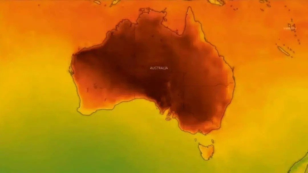 高温预警！热浪横扫澳洲，多地气温将逼近50度！100万人涌向海滩纳凉，连袋鼠都下水了... - 11