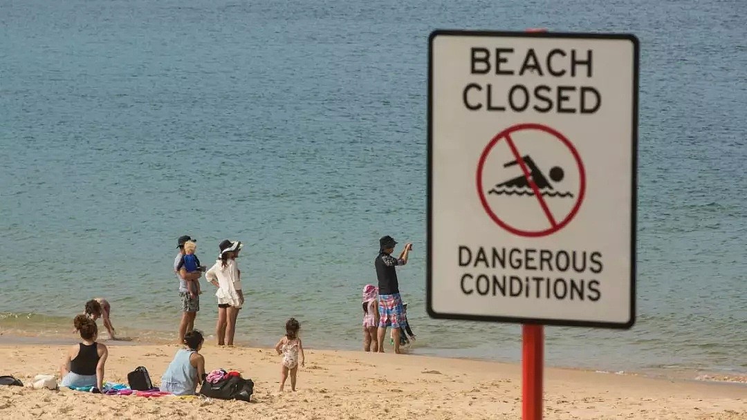 高温预警！热浪横扫澳洲，多地气温将逼近50度！100万人涌向海滩纳凉，连袋鼠都下水了... - 29