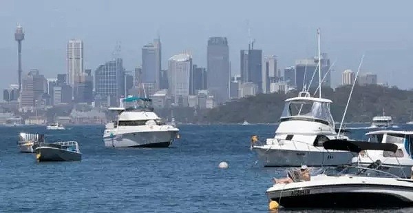 高温预警！热浪横扫澳洲，多地气温将逼近50度！100万人涌向海滩纳凉，连袋鼠都下水了... - 30