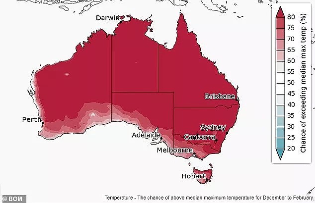 高温预警！热浪横扫澳洲，多地气温将逼近50度！100万人涌向海滩纳凉，连袋鼠都下水了... - 32