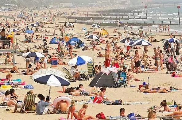 高温预警！热浪横扫澳洲，多地气温将逼近50度！100万人涌向海滩纳凉，连袋鼠都下水了... - 53