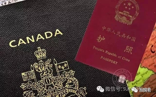 外籍华人千万别持中国护照回国，后果很严重（图） - 2