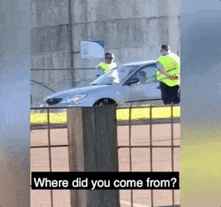 “滚回中国去”！亚裔警员公然侮辱司机，这回澳洲网友态度却一边倒！（视频） - 11