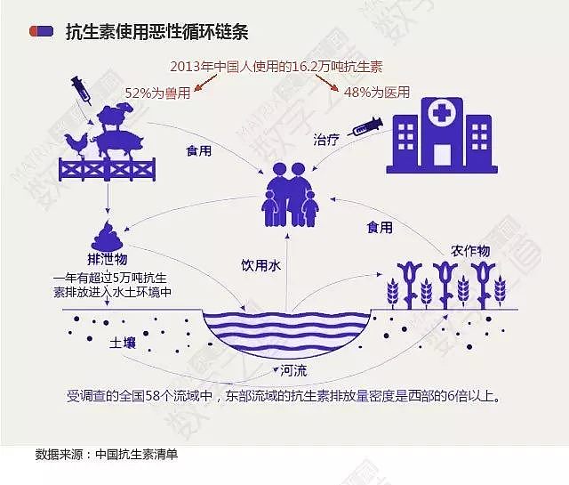 “抗生素肉”, 我们每天吃了多少? 猪肉抗生素含量居然是牛肉的5倍、鸡肉的2倍! - 22