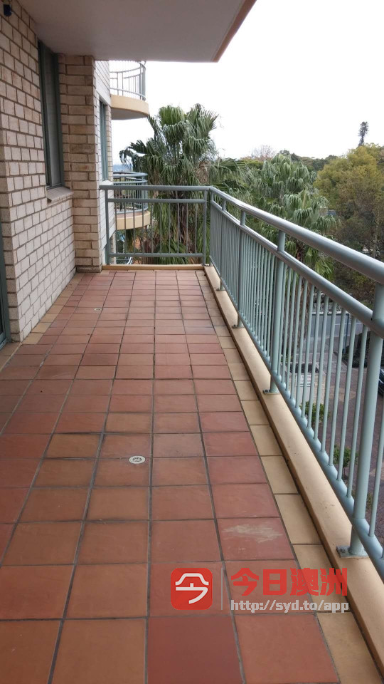 今日悉尼Hurstville Apartment大房出租 近车站 包水电网 Hurstville Apartment大房出租 近车站 包水电网