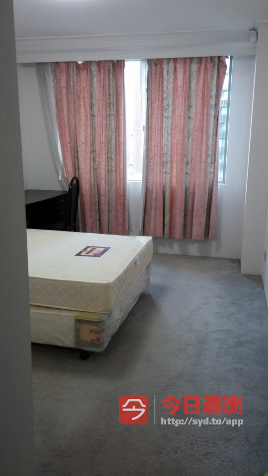今日悉尼Hurstville Apartment大房出租 近车站 包水电网 Hurstville Apartment大房出租 近车站 包水电网