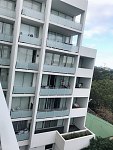 Strathfield  Apt 短租长租 均可