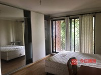 Ashfield 超大主人房不与房东同住有车位