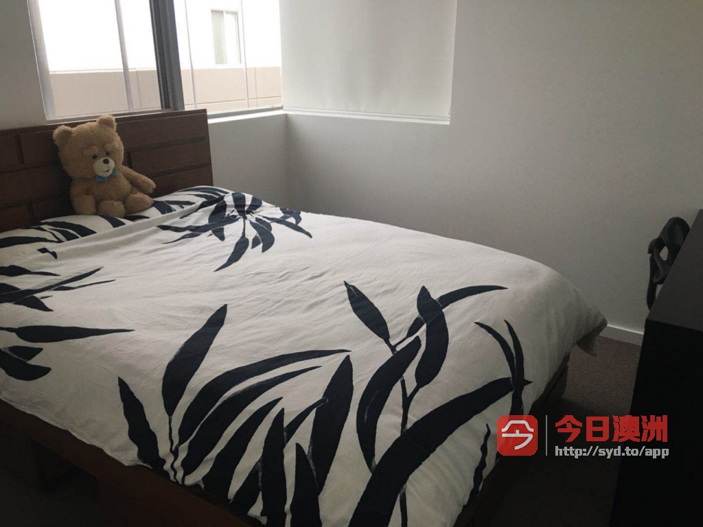 今日卧龙岗Wolli Creek 公寓出租 Wolli Creek 公寓出租