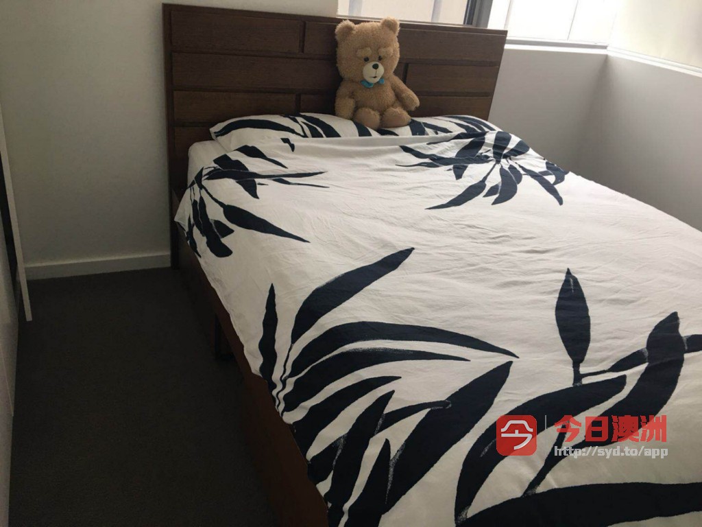 今日卧龙岗Wolli Creek 公寓出租 Wolli Creek 公寓出租