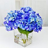 WAGWan