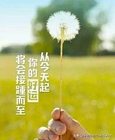 丫头丫头