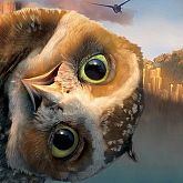 Skyowl