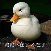 要恰饭的嘛