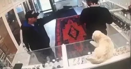 多伦多便利店遭遇抢劫，华人大姐抡起棍子：干他丫的（视频/组图） - 13