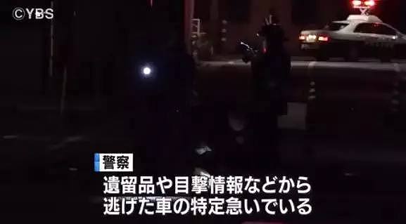开车撞中国游客肇事逃逸的日本司机抓到了！是一名66岁的护士（组图） - 3