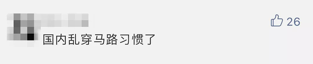 开车撞中国游客肇事逃逸的日本司机抓到了！是一名66岁的护士（组图） - 9