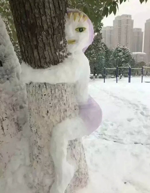 千万不要点开这些下雪沙雕合集！！你会后悔的哈哈哈哈哈哈哈哈（组图） - 26