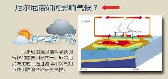 1人被电身亡！悉尼昨夜妖风暴雨，冷到穿越！2019恐成有史最热一年！（组图） - 56