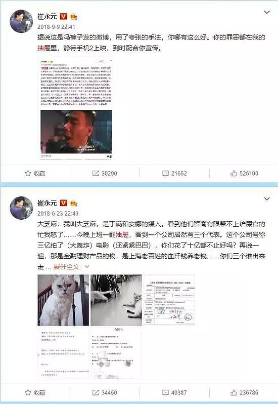 崔永元爆料后果惊人 8000家公司倒闭 损失上千亿 现在几十拨人要杀他（组图） - 4