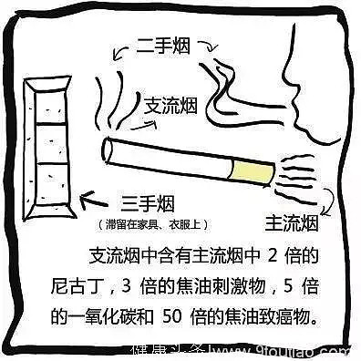 这种毒物在中国是送礼佳品，7亿国人还在被它毒害！背后的无形杀手才更可怕、更恐怖！（视频/组图） - 16