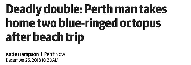 差点没命！悉尼11岁女孩捡了一个贝壳后，恐怖的事情发生了... - 18