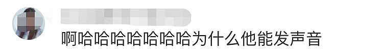 齐达内的微博翻译火了 网友：笑得停不下来（组图） - 13