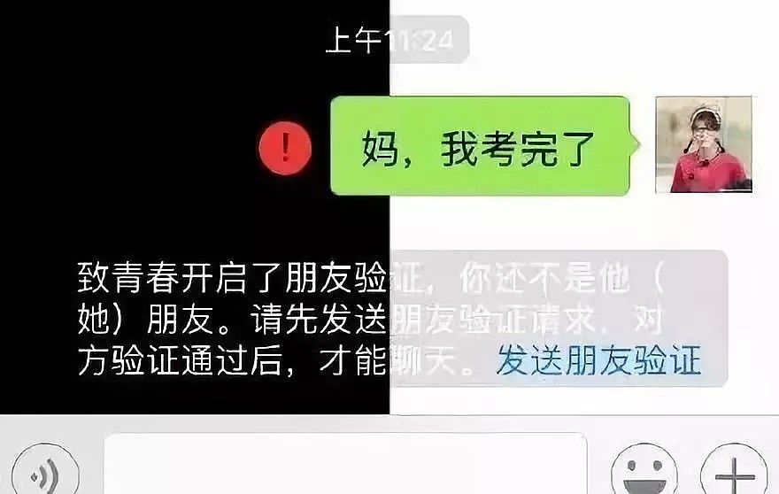 我妈和骗子的聊天记录曝光，哈哈哈哈哈，看完想离家出走！（组图） - 59