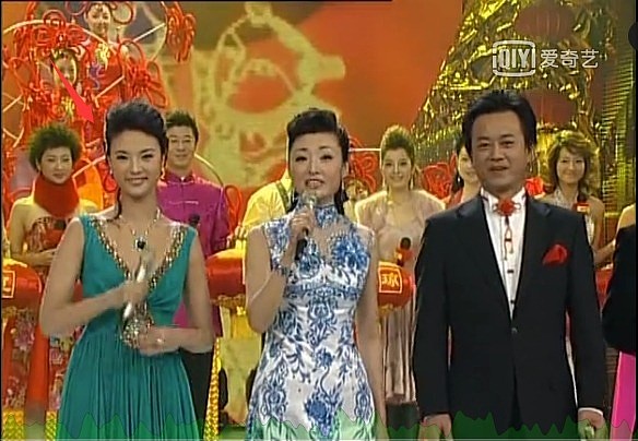央视女主持刘芳菲和林依轮同框气质出众，曾被定为周涛接班人（组图） - 8