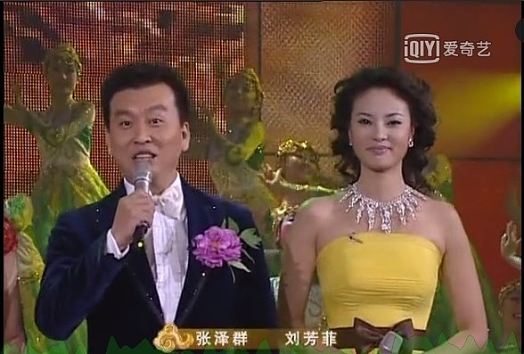 央视女主持刘芳菲和林依轮同框气质出众，曾被定为周涛接班人（组图） - 10
