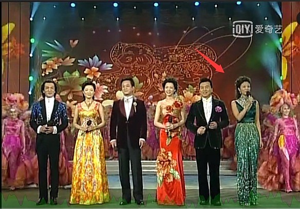 央视女主持刘芳菲和林依轮同框气质出众，曾被定为周涛接班人（组图） - 11