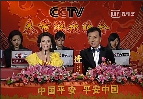 央视女主持刘芳菲和林依轮同框气质出众，曾被定为周涛接班人（组图） - 12